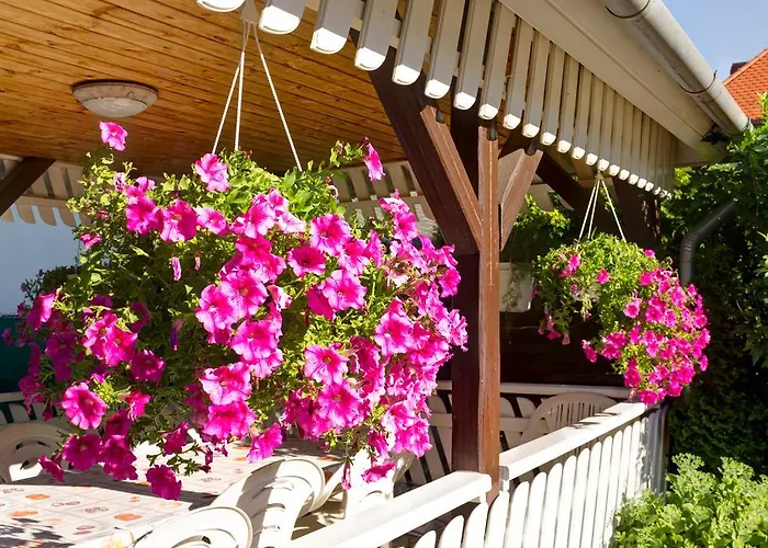 Familia Szabo Vendeghaz